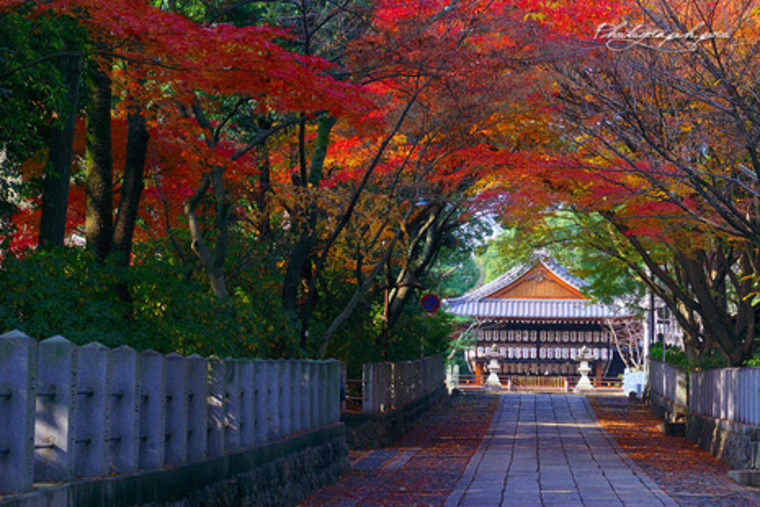 写真：神社仏閣