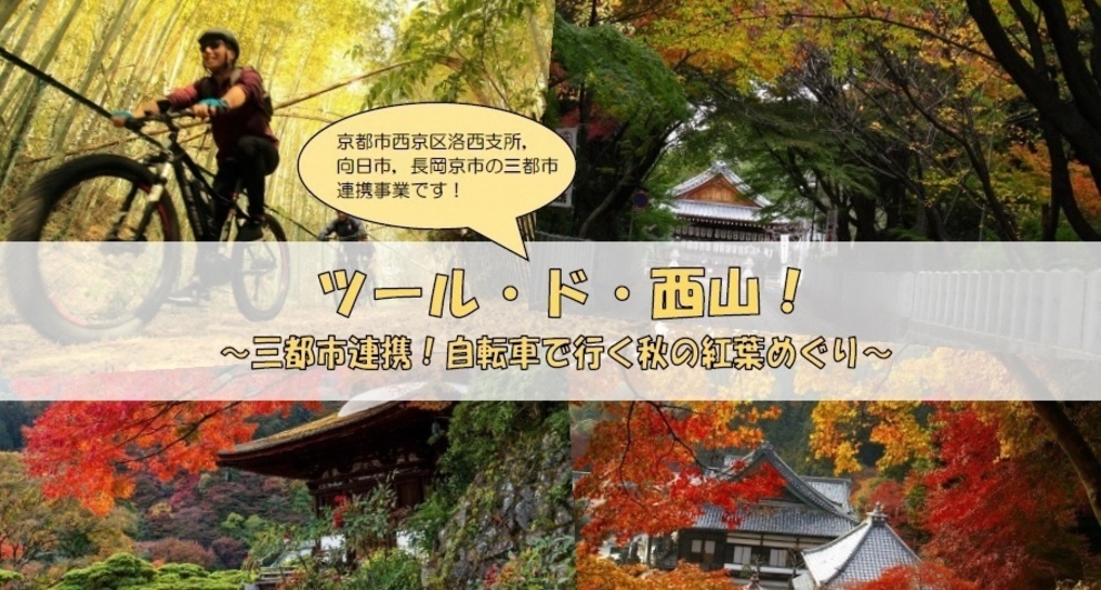 ツール ド 西山 三都市連携 自転車で行く秋の紅葉めぐり 向日市観光協会サイト ツール ド 西山 三都市連携 自転車で行く秋の紅葉めぐり 向日市観光協会サイト